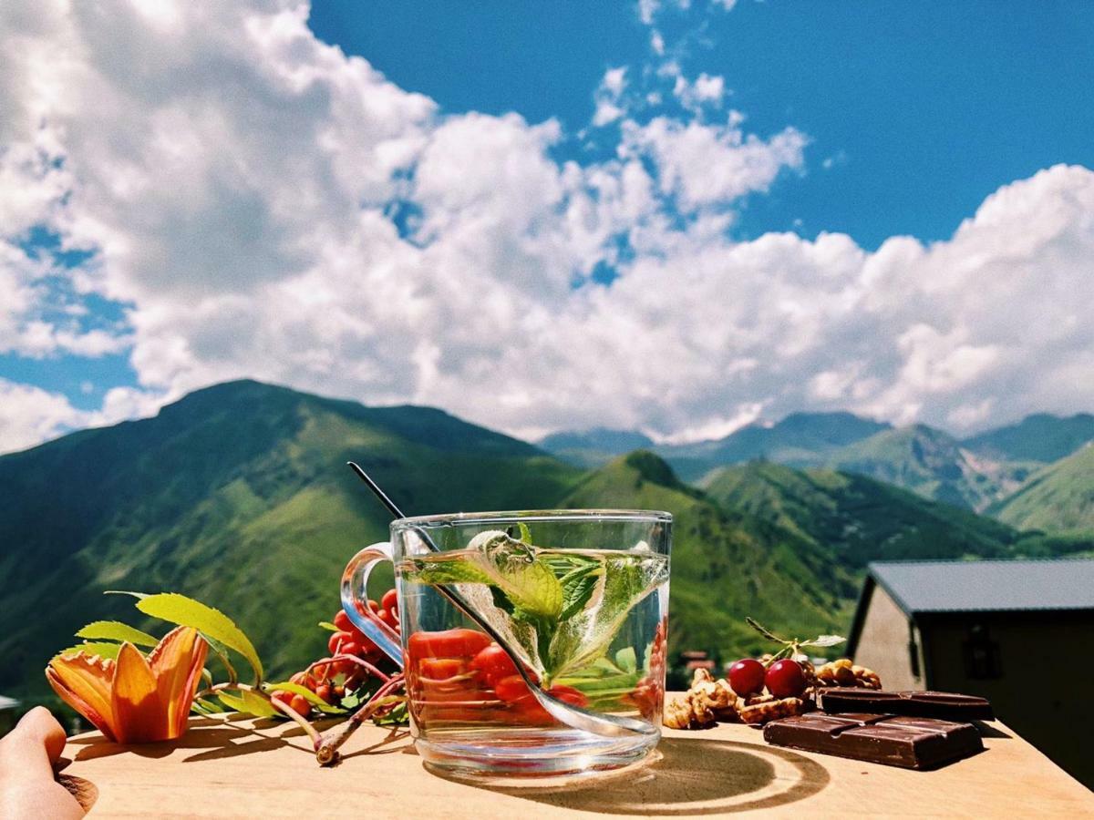 Elsada Hotel Kazbegi Eksteriør billede